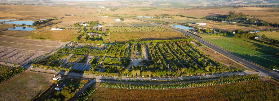 0 Bedroom Property for Sale in Stellenbosch Farms Western Cape